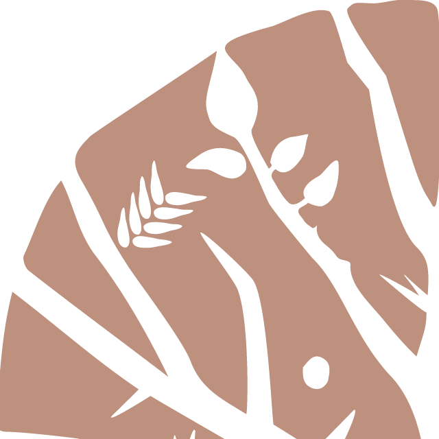 Background Amenities